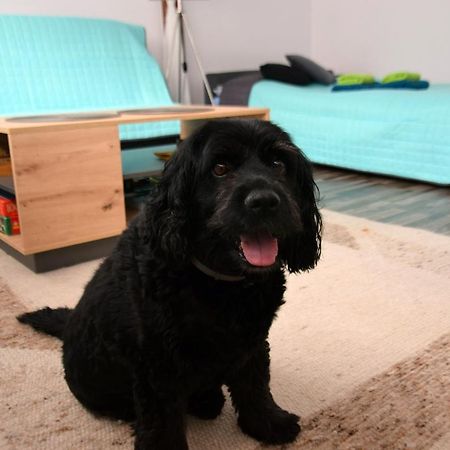Apartament Gornicza W Kowarach 科瓦雷 外观 照片