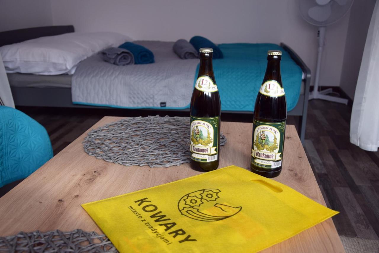 Apartament Gornicza W Kowarach 科瓦雷 外观 照片